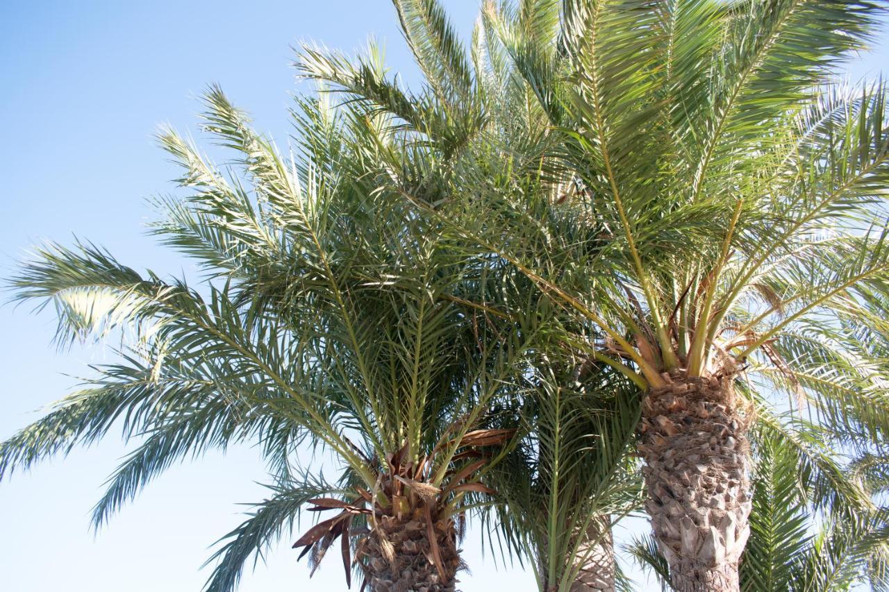 Rafaello Apartment ,,La Zona Cabo Roig, Area Cabo Roig" Orihuela Dış mekan fotoğraf