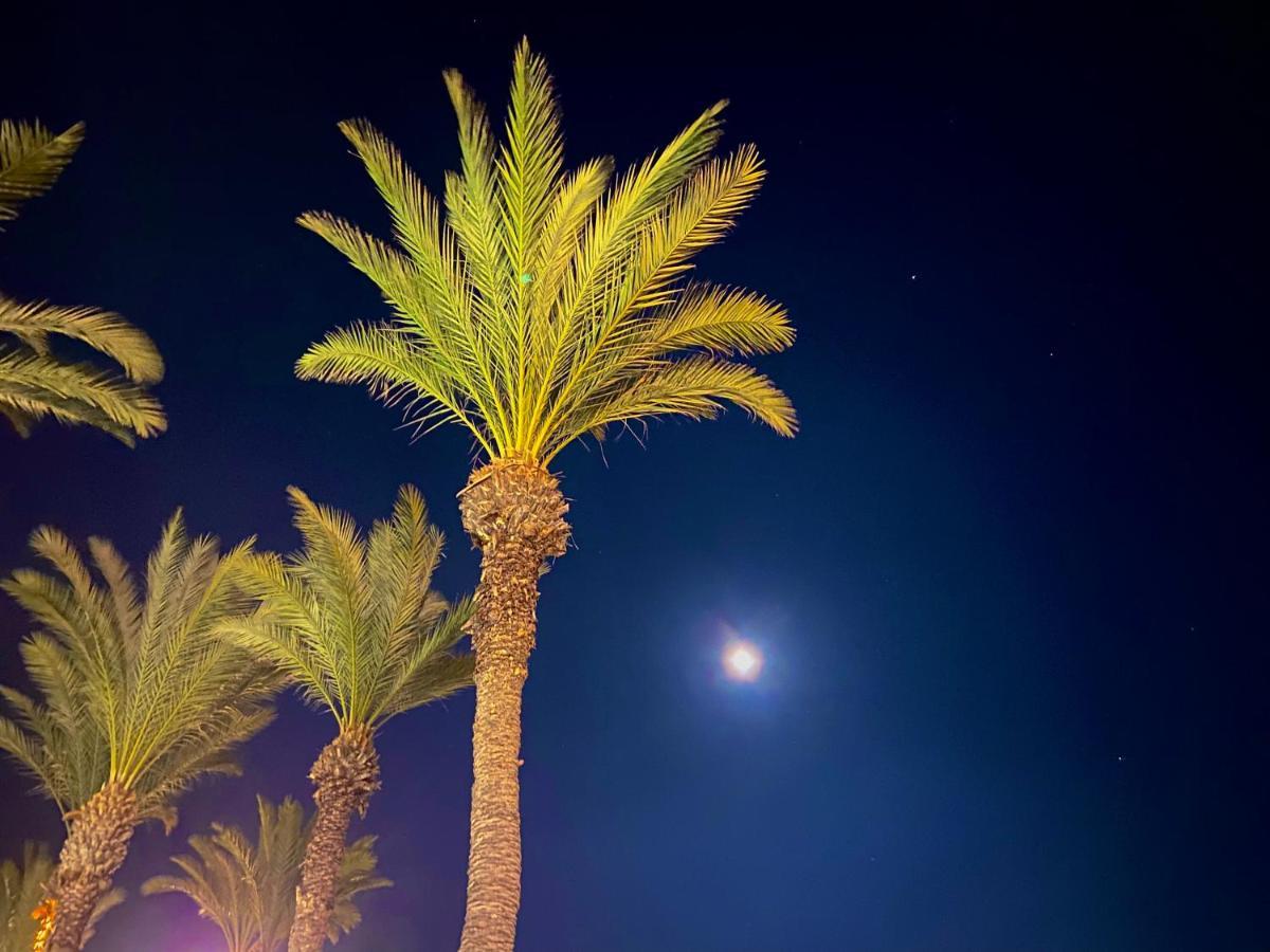 Rafaello Apartment ,,La Zona Cabo Roig, Area Cabo Roig" Orihuela Dış mekan fotoğraf